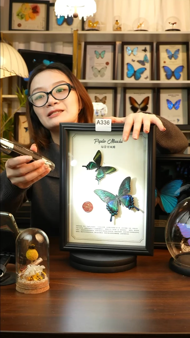 绿带翠凤蝶春+夏款双蝶（A4黑框）A336