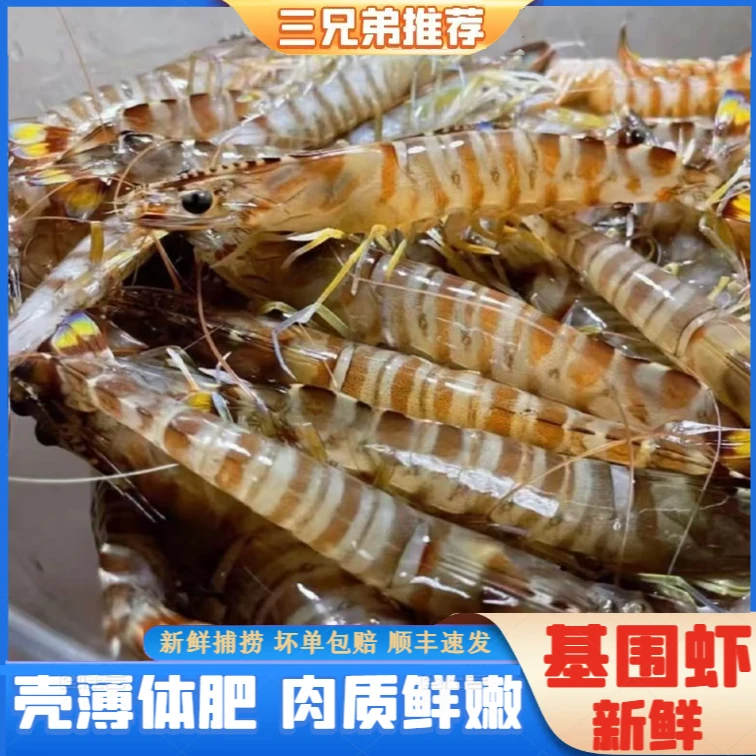 【三兄弟海鲜】基围虾竹节虾新鲜速冻直播约22只/斤200g/盒5盒共2斤