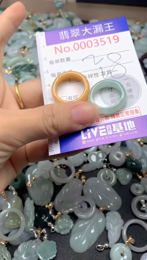 翡翠未镶嵌吊坠(不含链)3519