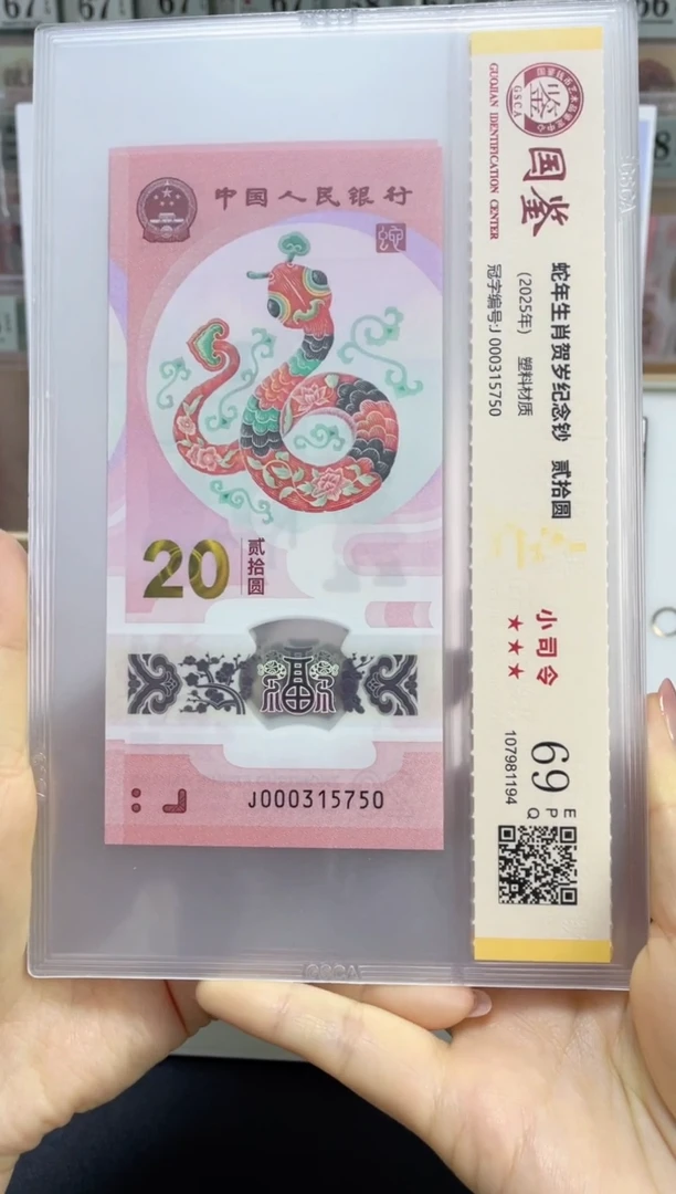塑料蛇副司令69分无4J000315750
