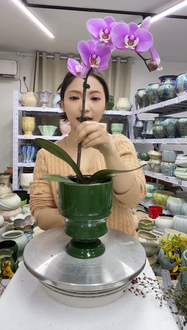 【12.23】花盆链接 高：20  口：11