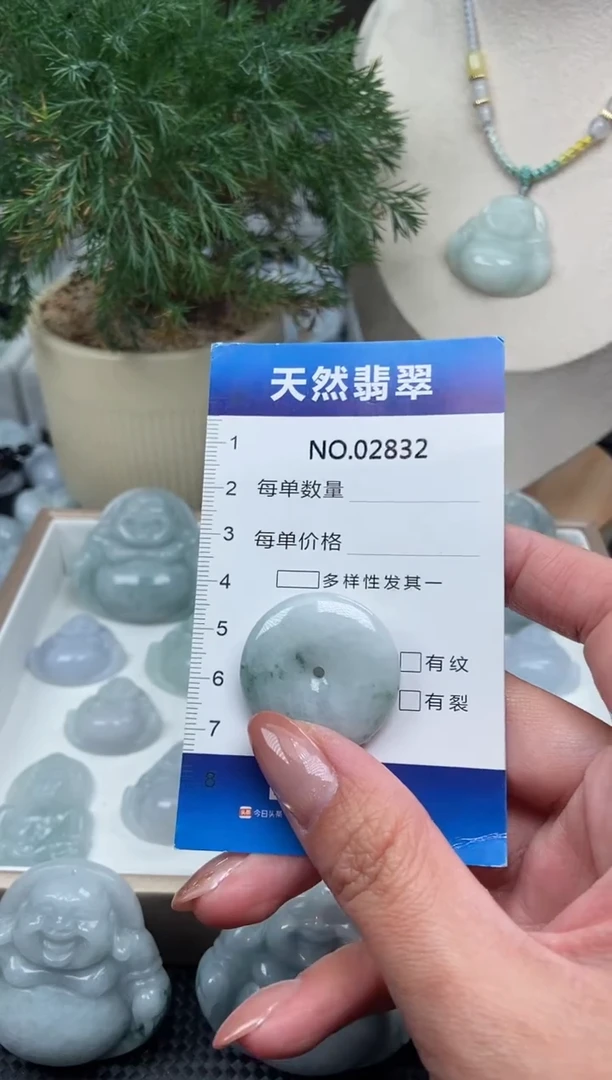 颈饰未镶嵌翡翠纯天然A货缅翡2832