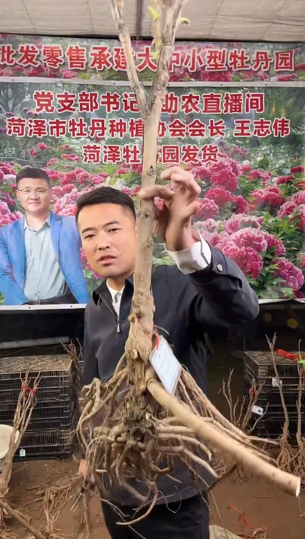 闪购链接  皇冠32