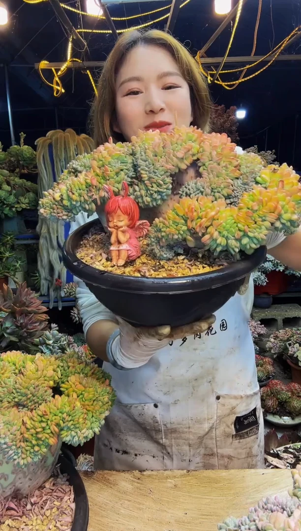 玛瑙缀化脱土包邮