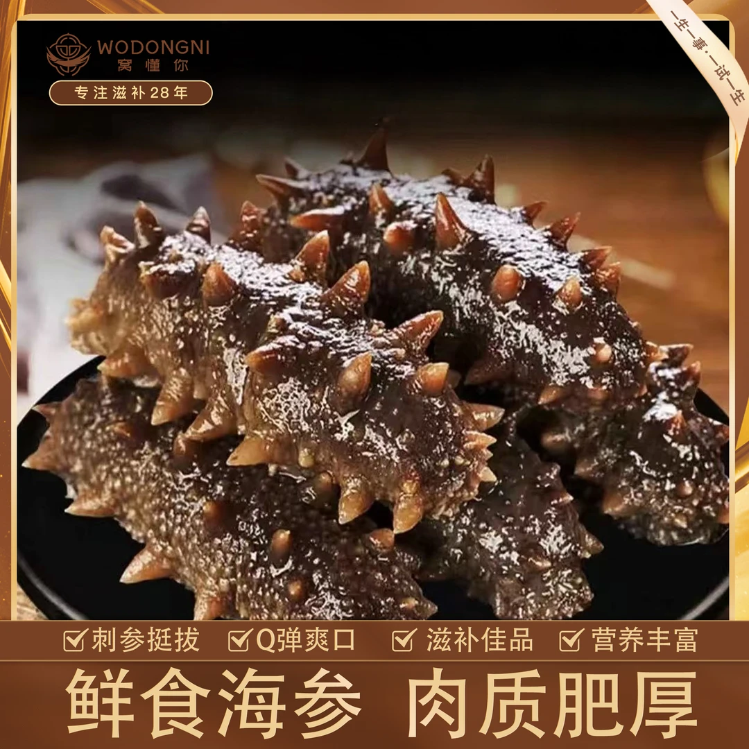 姗姗夫妇-大连鲜食海参皇