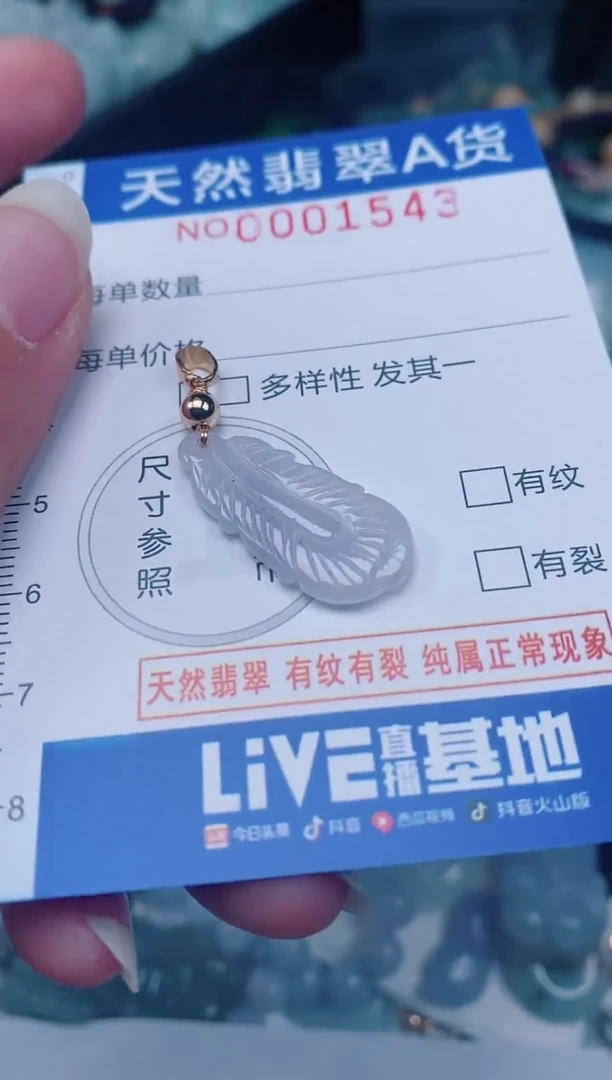 颈饰未镶嵌翡翠00001543