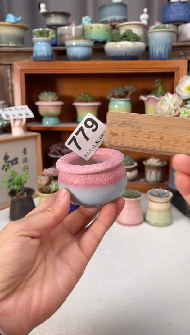 瓷片779知木小芳花盆编号