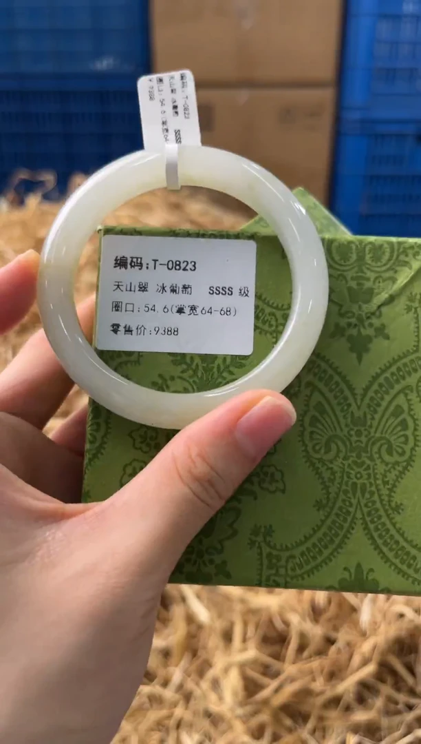 未镶嵌手镯石英质玉T-0823