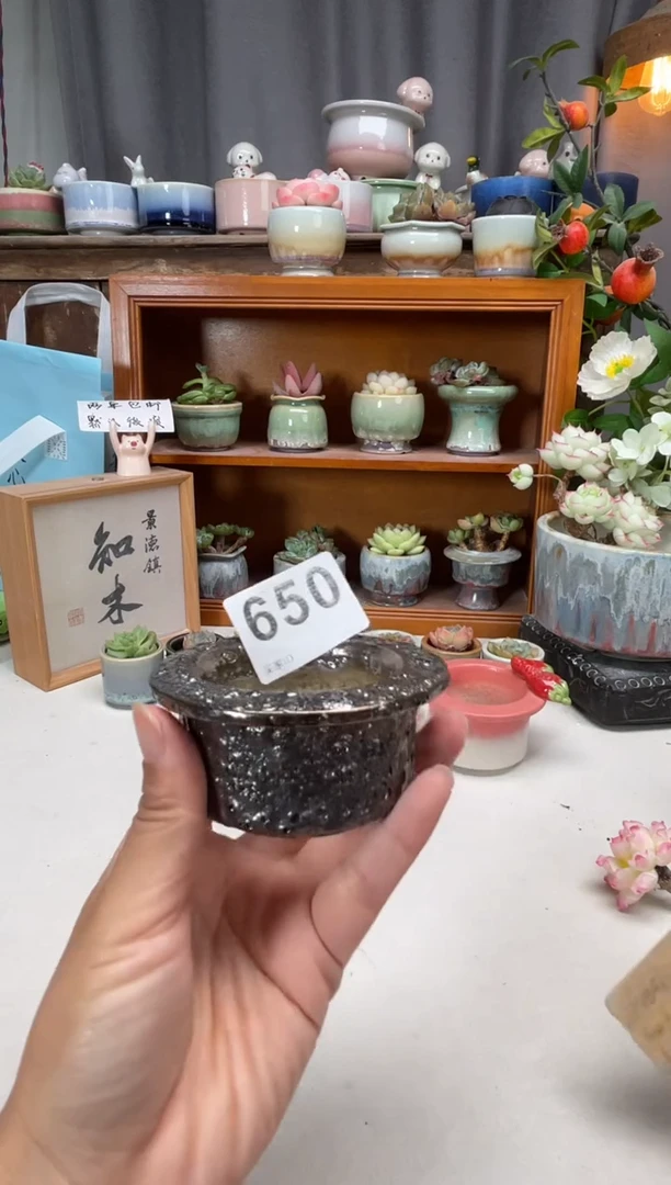 瓷片650知木小芳花盆