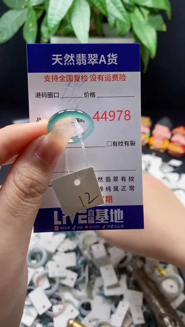 翡翠戒指未镶嵌 天然翡翠戒圈4978