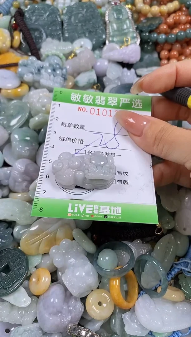 【闪购商品】翡翠颈饰未镶嵌闪购链接0101322