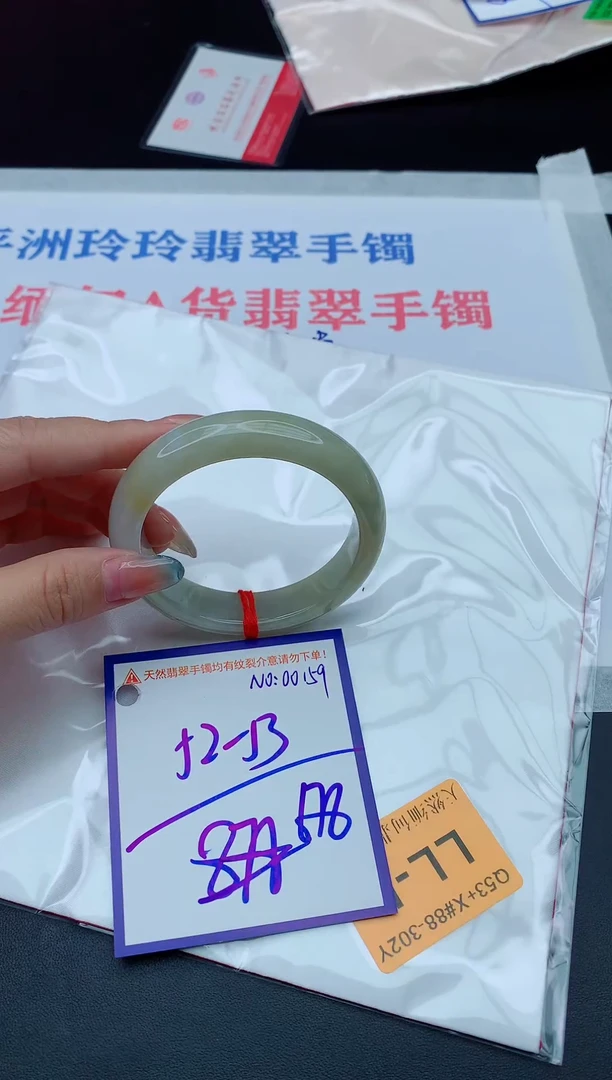 未镶嵌手镯翡翠11111