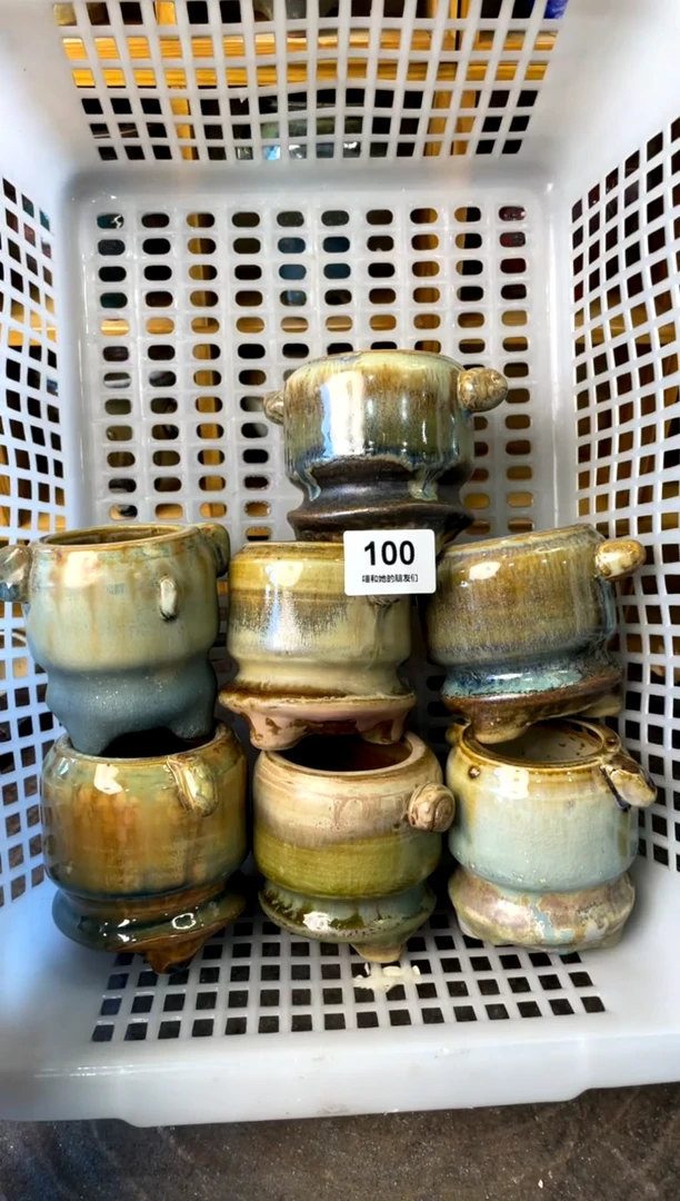 【闪购商品】陶100【年终大促福利套】