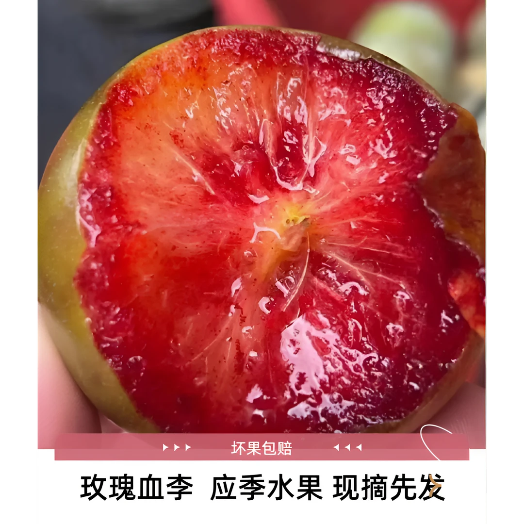 【带箱5斤】玫瑰血李 恐龙蛋 红心李 8甜2酸 应季水果新鲜 现摘现发