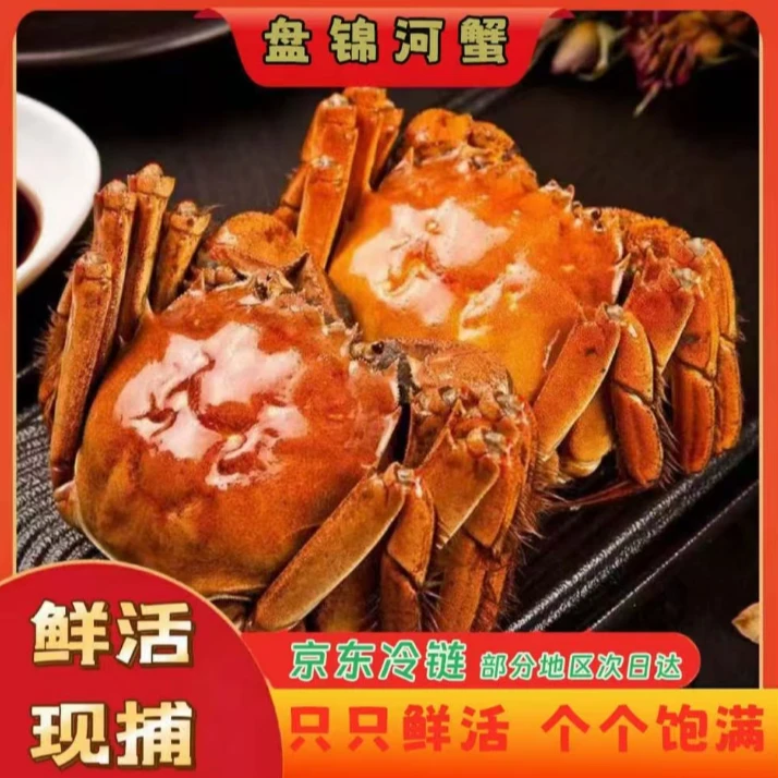 【活蟹】真鲜满 盘锦河蟹 全母蟹 0.8-1两 20-25只 宋10只