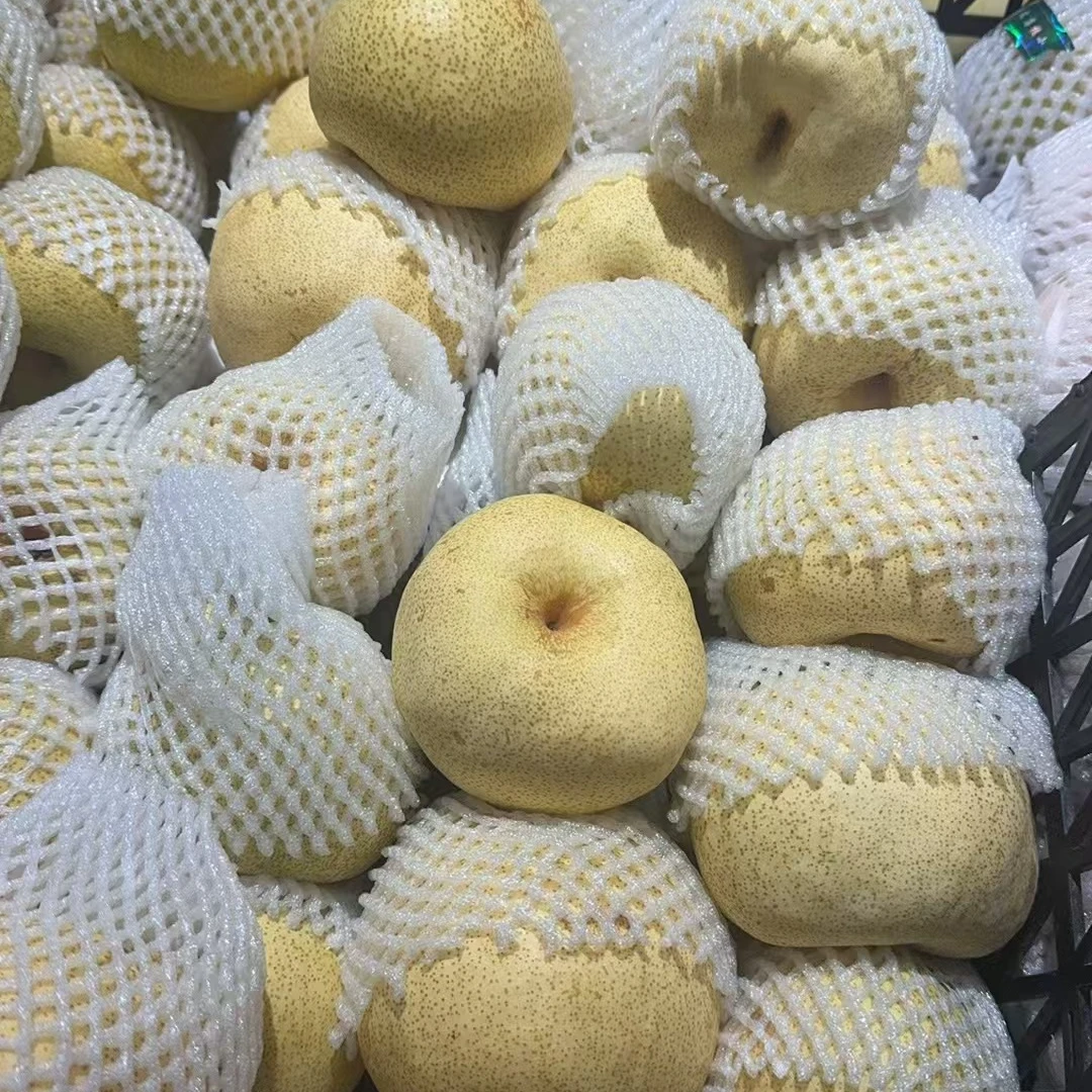 砀山梨约三斤装/份