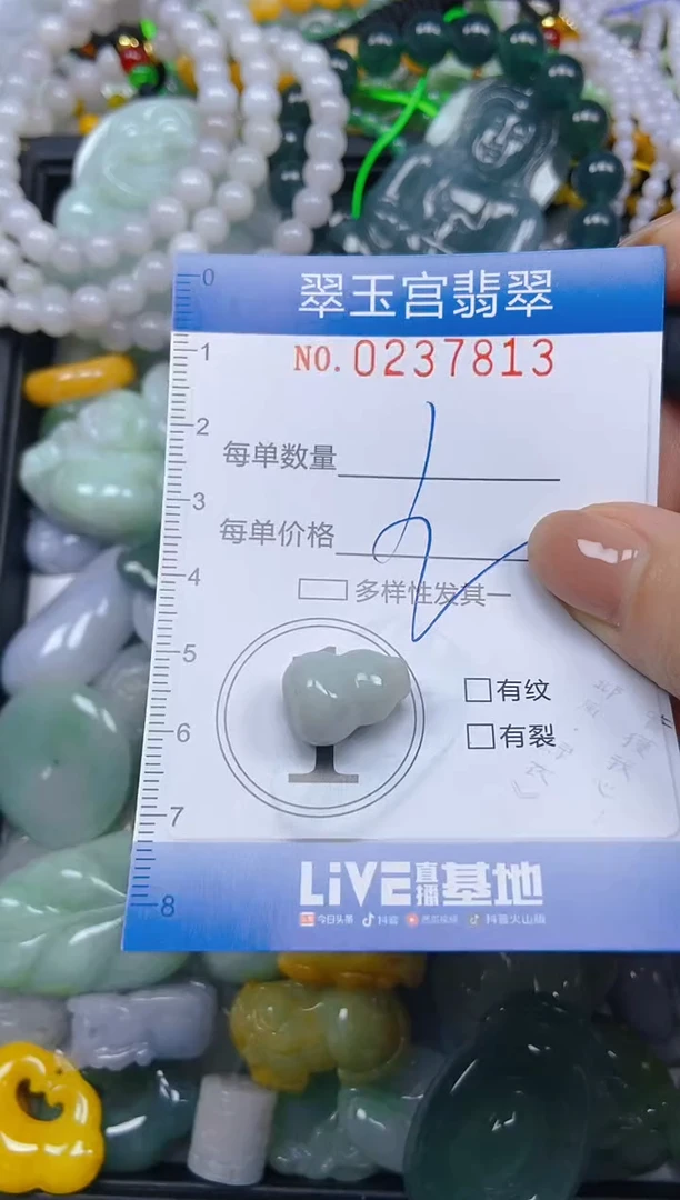 颈饰未镶嵌翡翠闪购C0237813