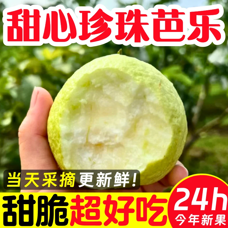 【新鲜现摘】正宗广东白心芭乐软心当季水果新鲜现摘番石榴脆甜