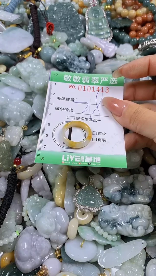 【闪购商品】翡翠颈饰未镶嵌闪购链接0101413