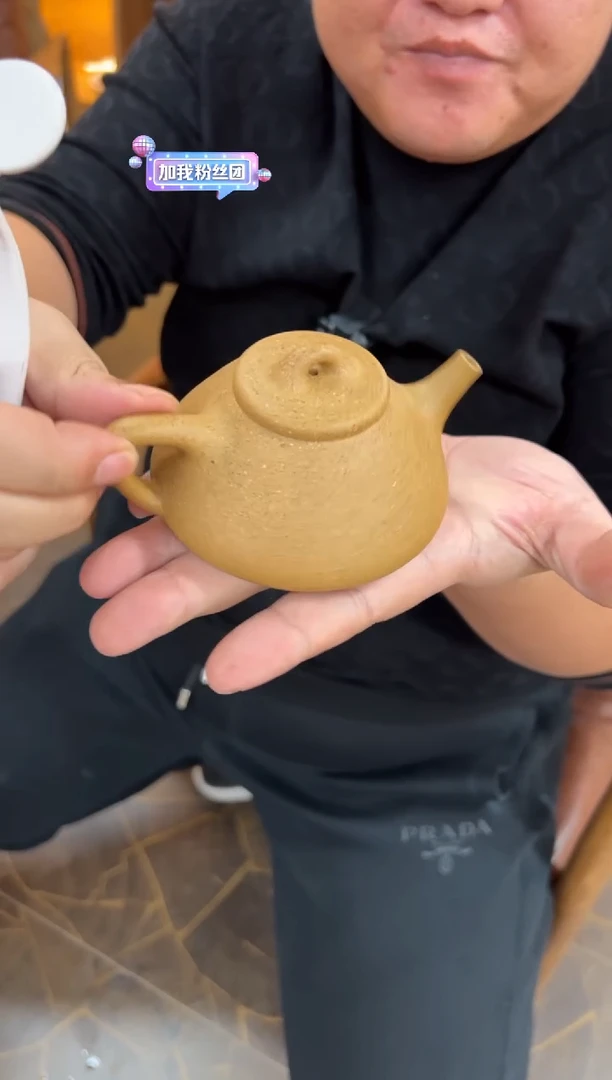 【闪购商品】紫砂茶壶【头哥手工壶】子冶石瓢黄金段光素