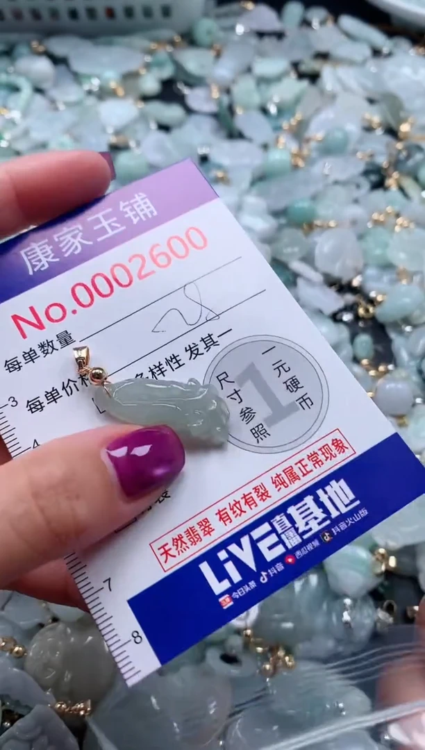 颈饰未镶嵌翡翠2600