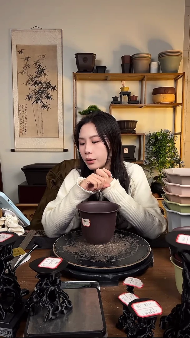 10只15口径金钟紫檀色