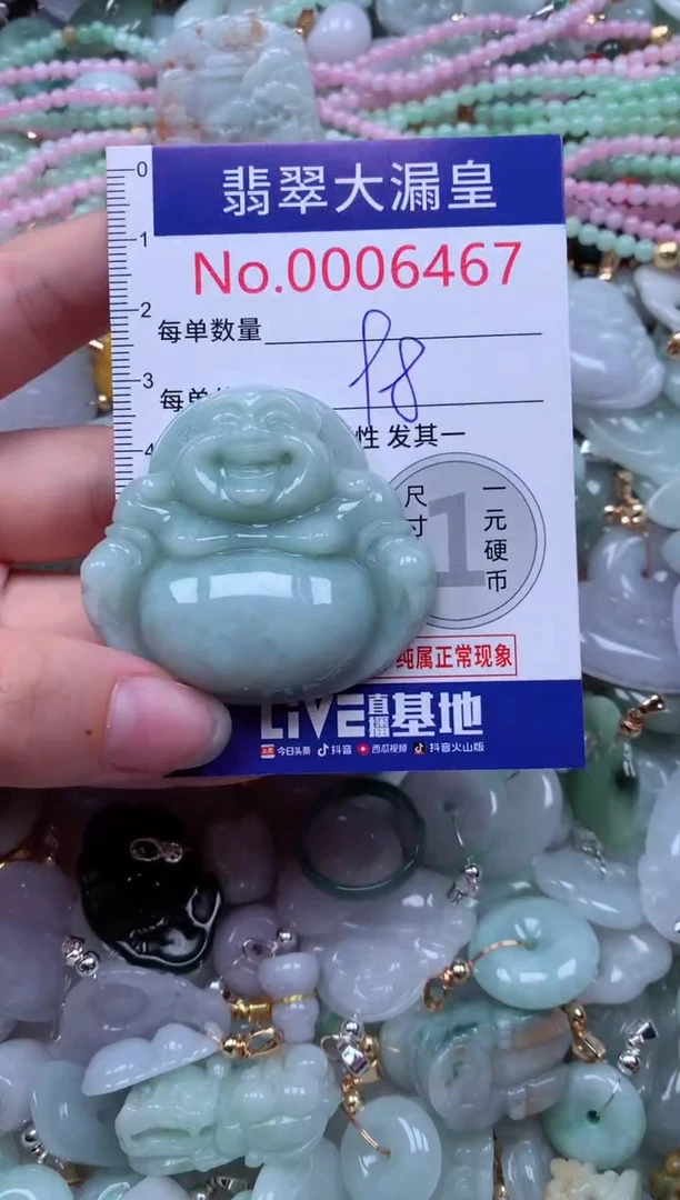 翡翠未镶嵌吊坠(不含链)6467
