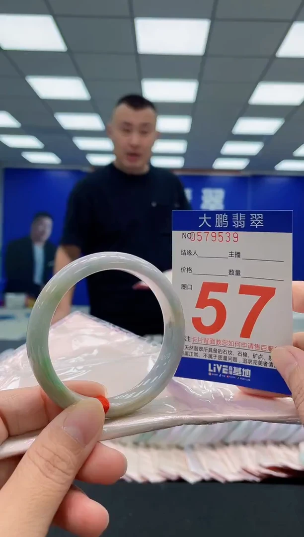 未镶嵌手镯翡翠AAAAAAAAA
