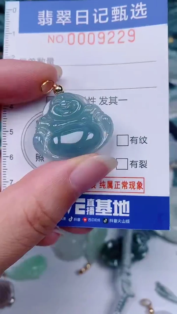 翡翠未镶嵌颈饰00009229