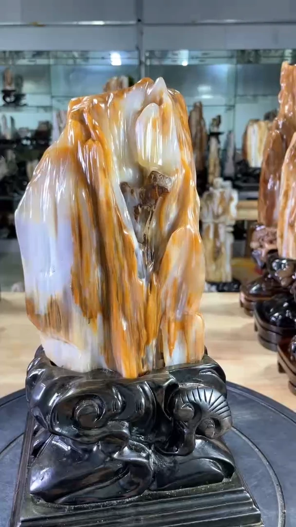 【闪购商品】硅化玉珠宝奇石未镶嵌680