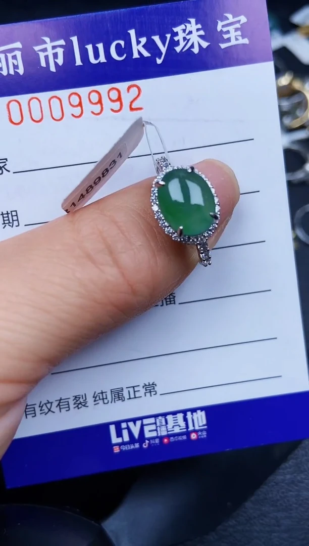 翡翠银S925镶嵌颈饰9992