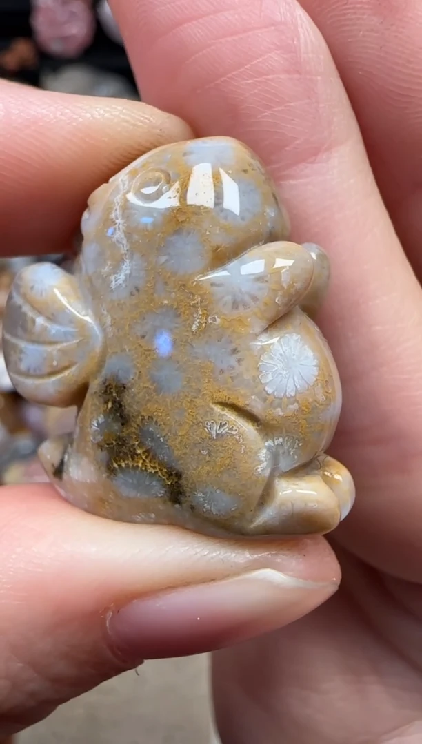 颈饰未镶嵌硅化珊瑚（珊瑚玉）334