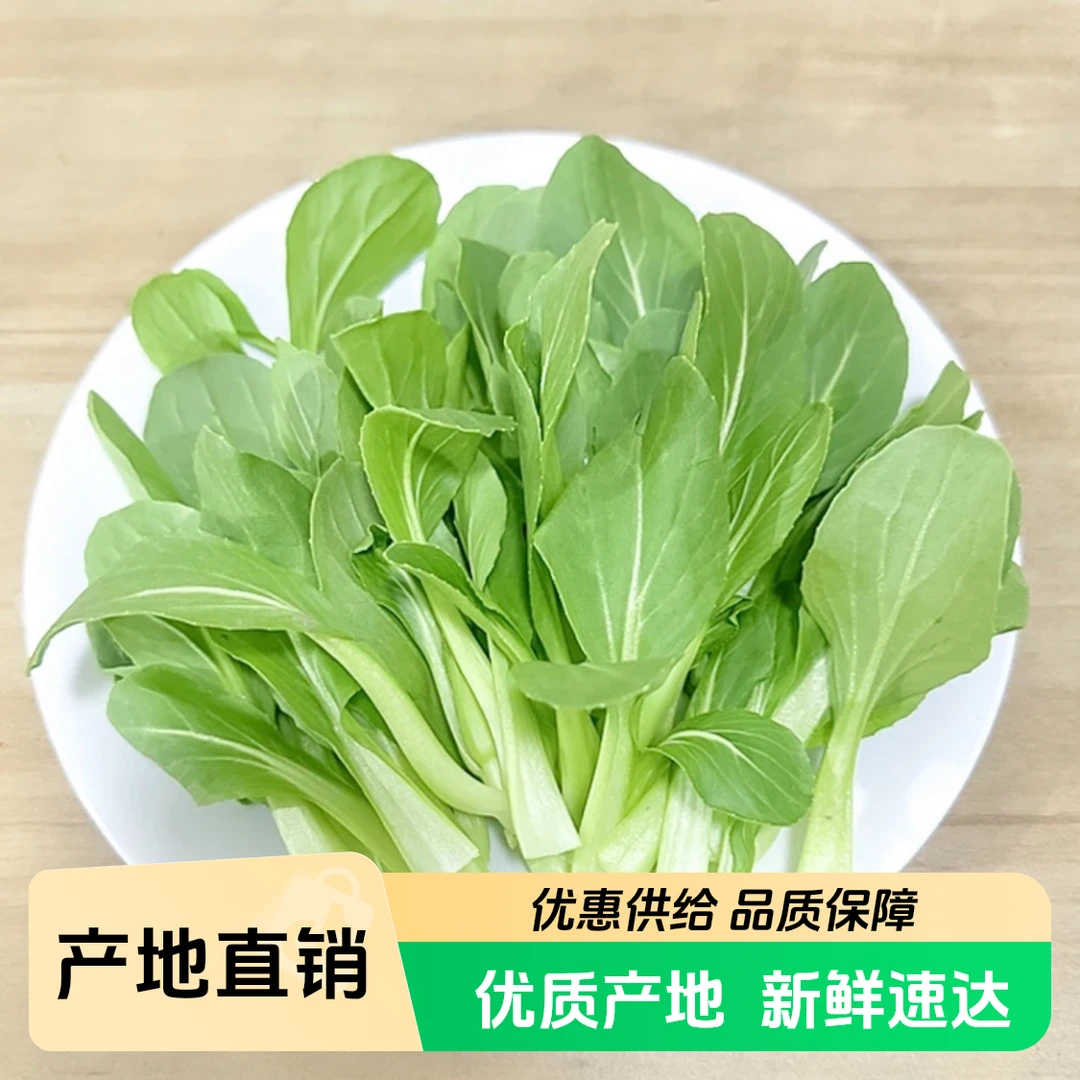 【挑幺挑六】甄选农家鸡毛菜新鲜采摘田间地头新鲜蔬菜kg火锅菜绿色蔬菜白菜