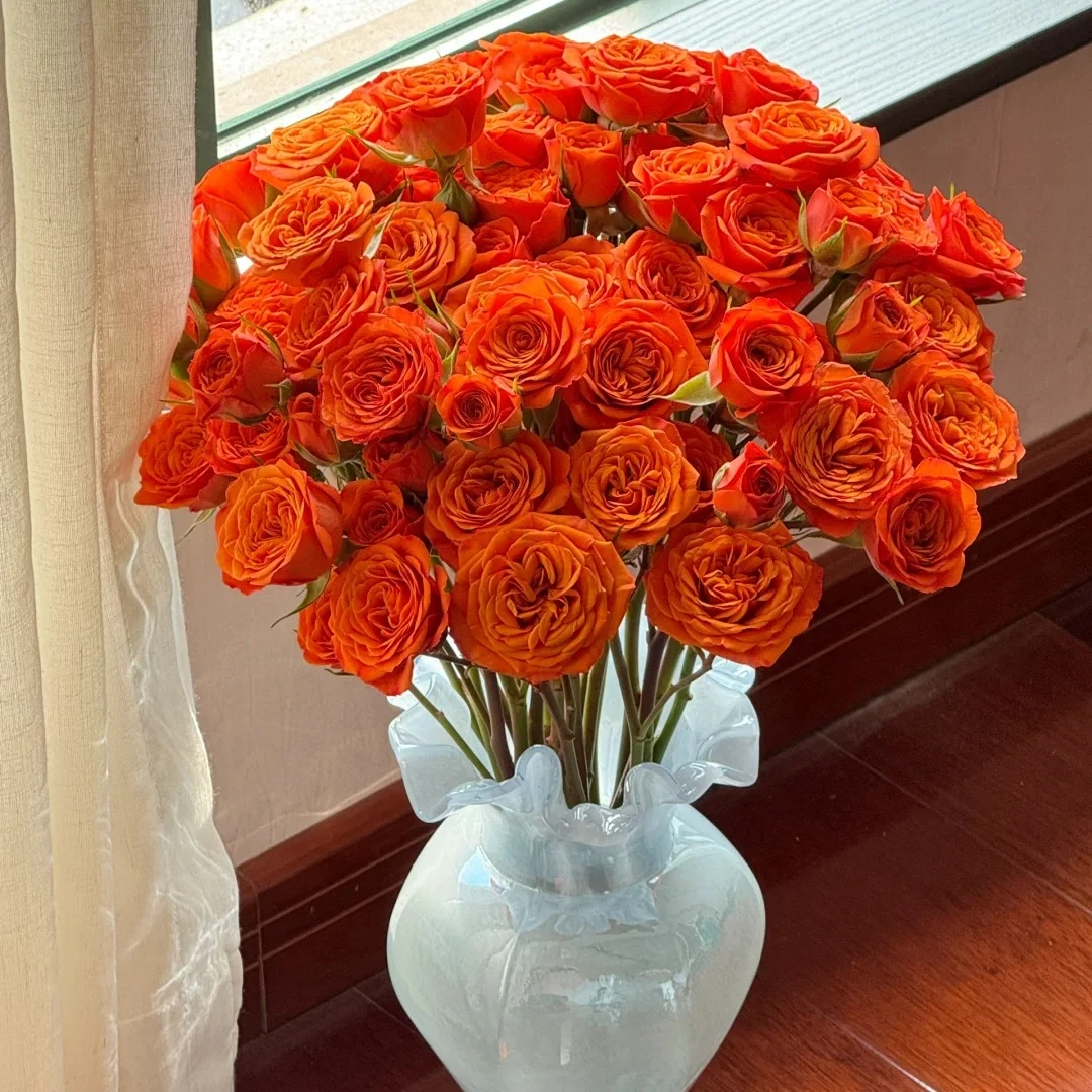 【橙芭比】一枝 橙色多头玫瑰 我爱的是你、神秘的爱 日照小时达同城一小时送货到家