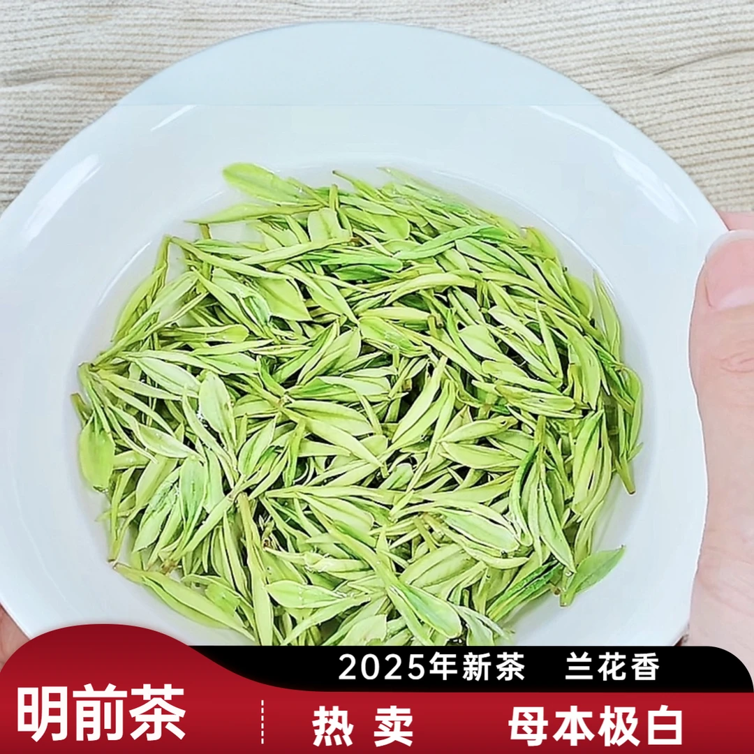 【精选A2招牌母本极白】安吉高山白茶绿茶叶兰花香鲜爽回甘耐泡好茶