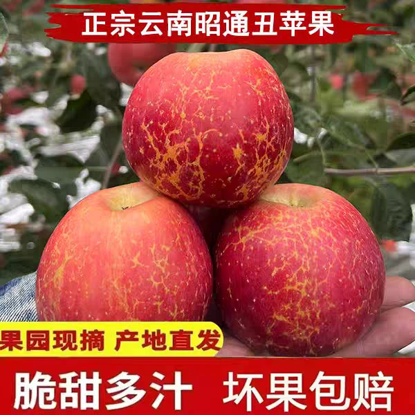2025云南昭通丑苹果红富士冰糖心新鲜现摘脆甜多汁水果整箱包邮