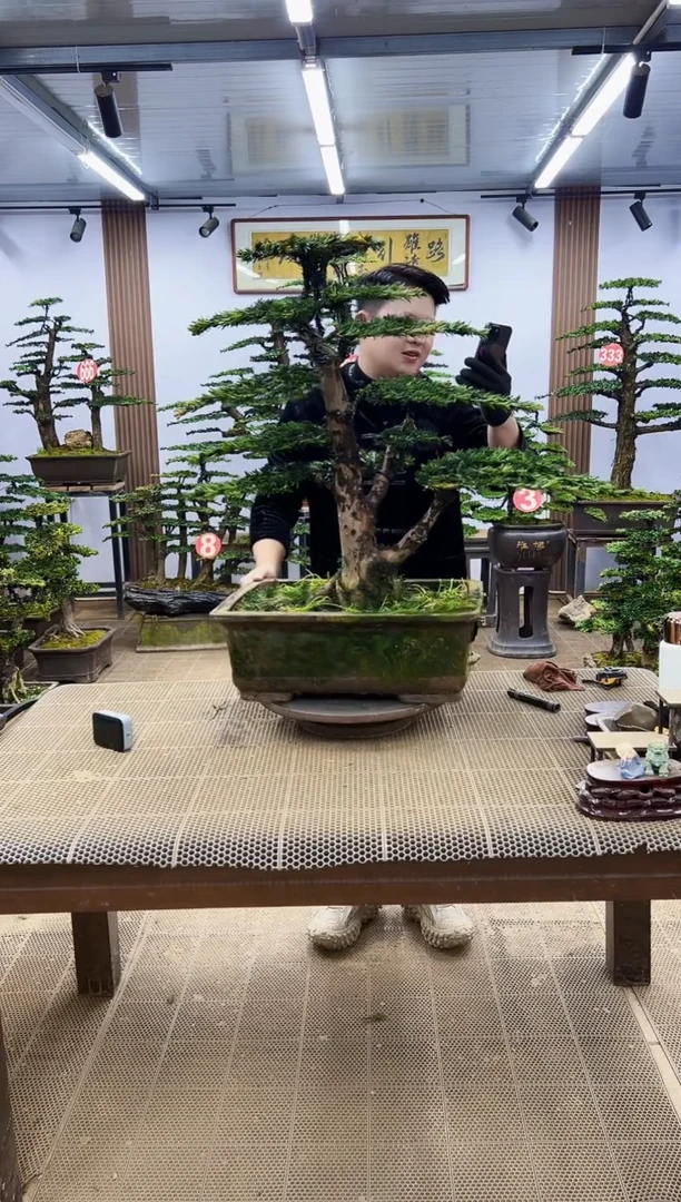 【闪购商品】00000000