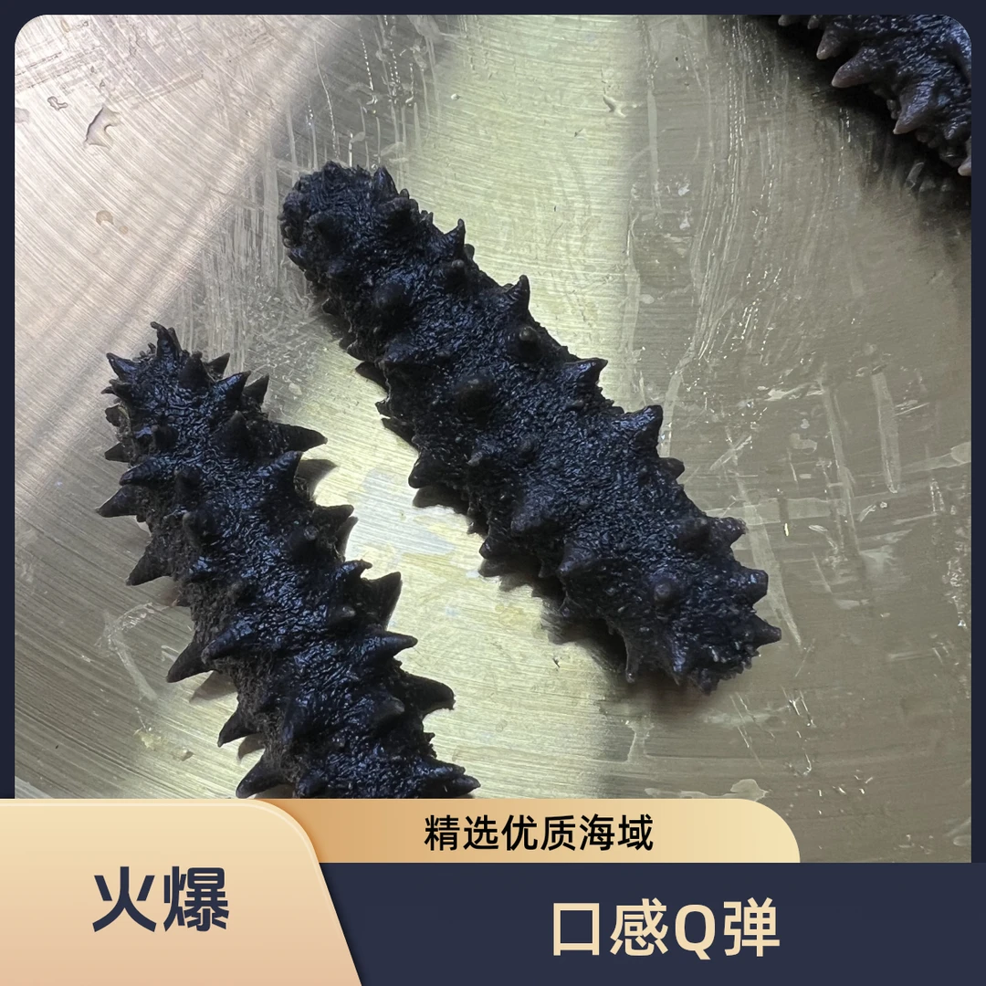 【高品质】【湿】拉缸盐海参 【40-50头/500g 】 顺丰包邮