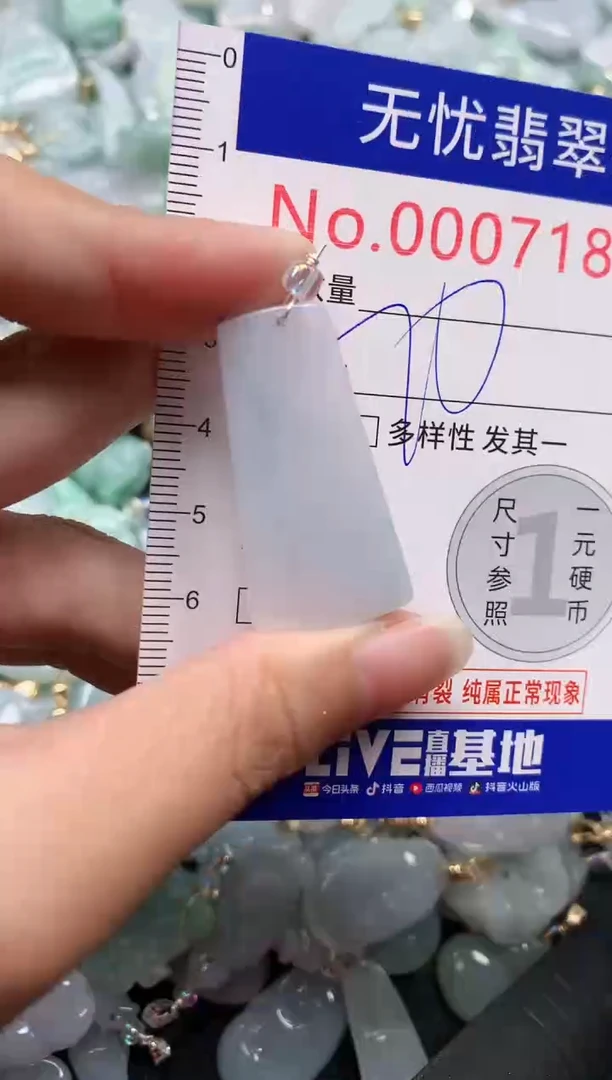 颈饰未镶嵌翡翠7181