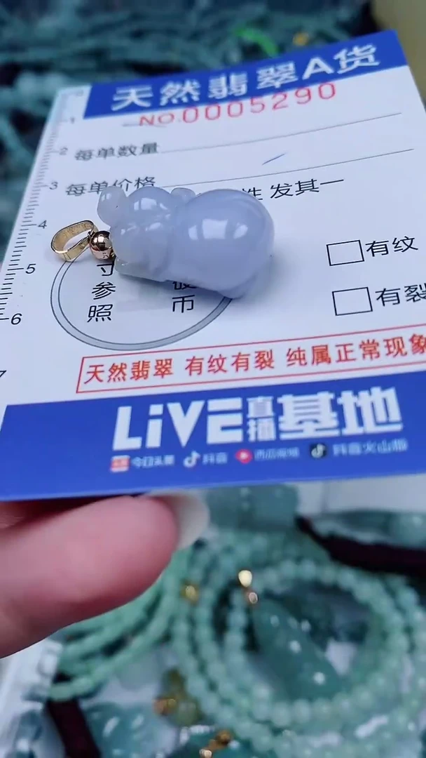 翡翠未镶嵌颈饰00005290