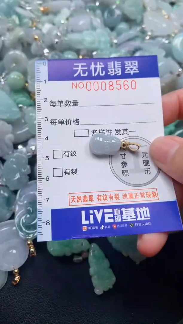 颈饰未镶嵌翡翠8560