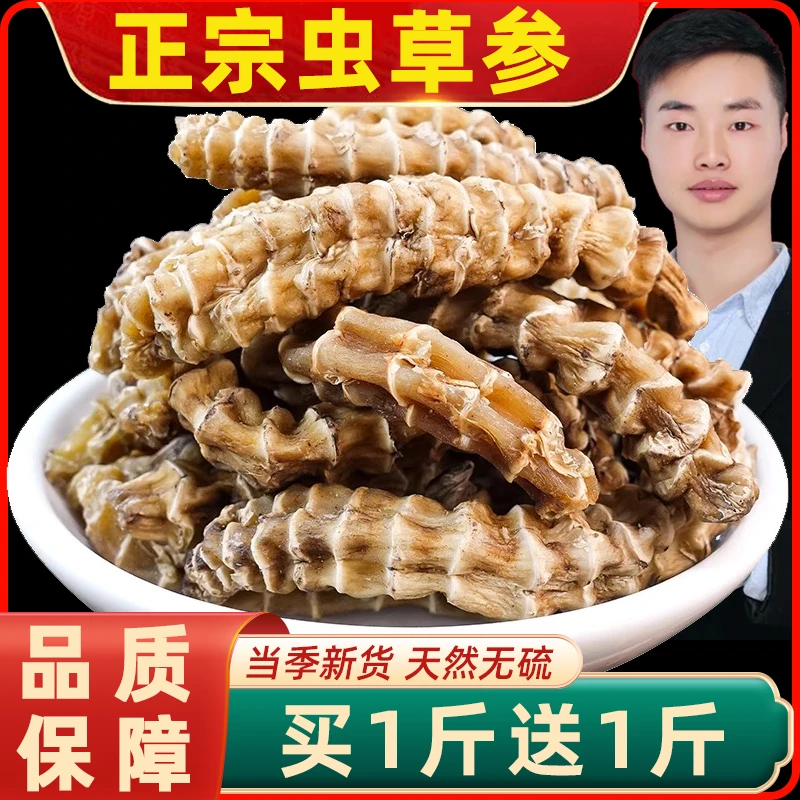 【买1送1】1号链接正宗虫草参干货地参煲汤竹节参草石蚕