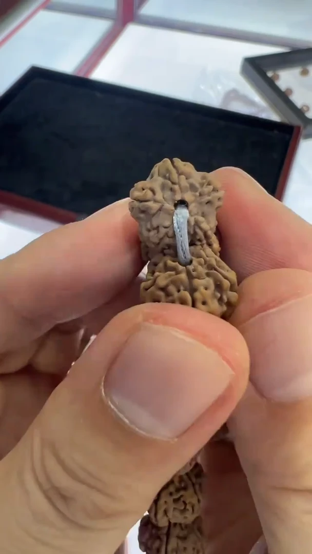 【闪购商品】金刚菩提手串定制级灰皮方墩梅花手持尺寸10-14