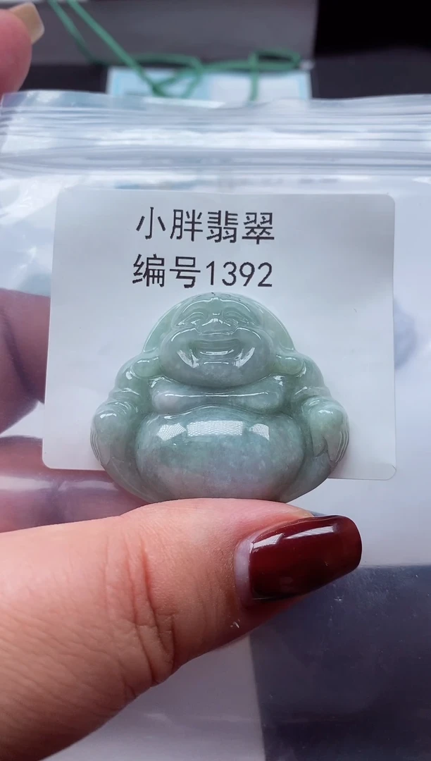 颈饰未镶嵌翡翠缅甸天然A货翡翠1392