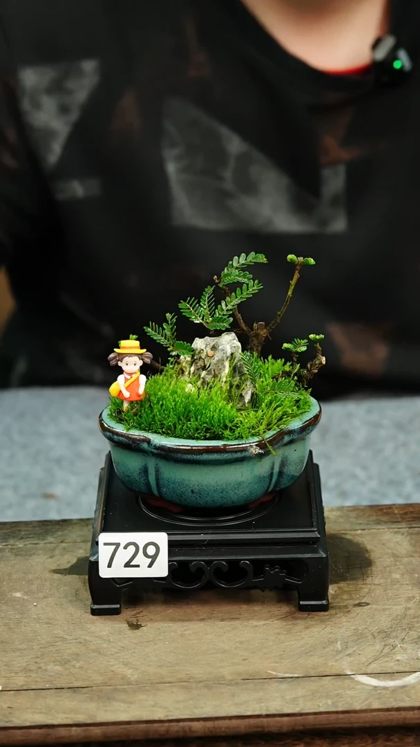 【闪购商品】苔藓微景观729号