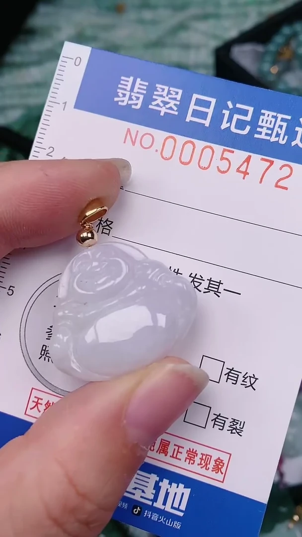 【闪购商品】翡翠颈饰未镶嵌00005472