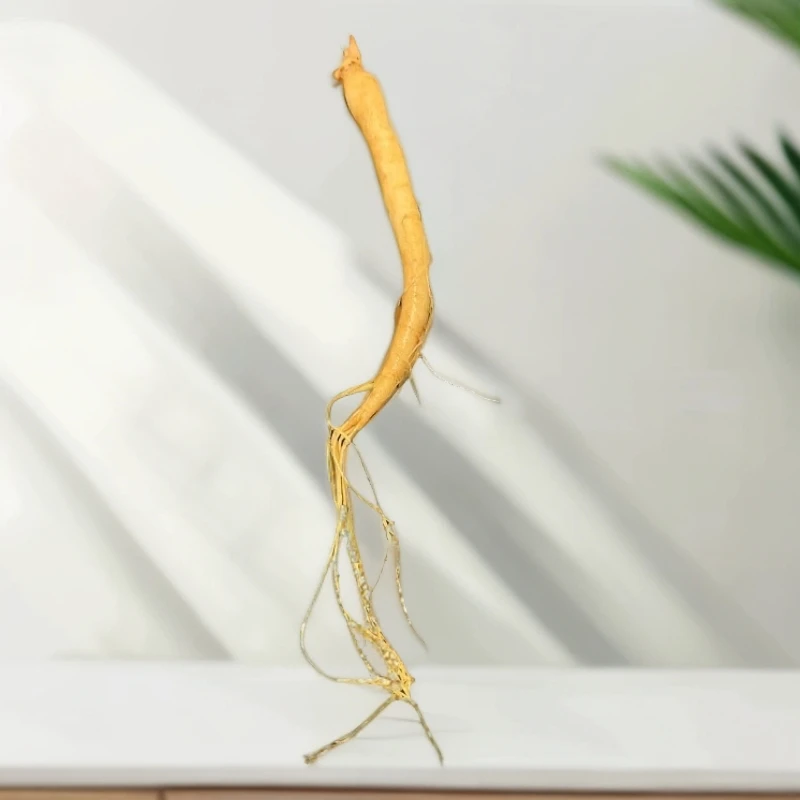 A2643长白山精品鲜土特产人参