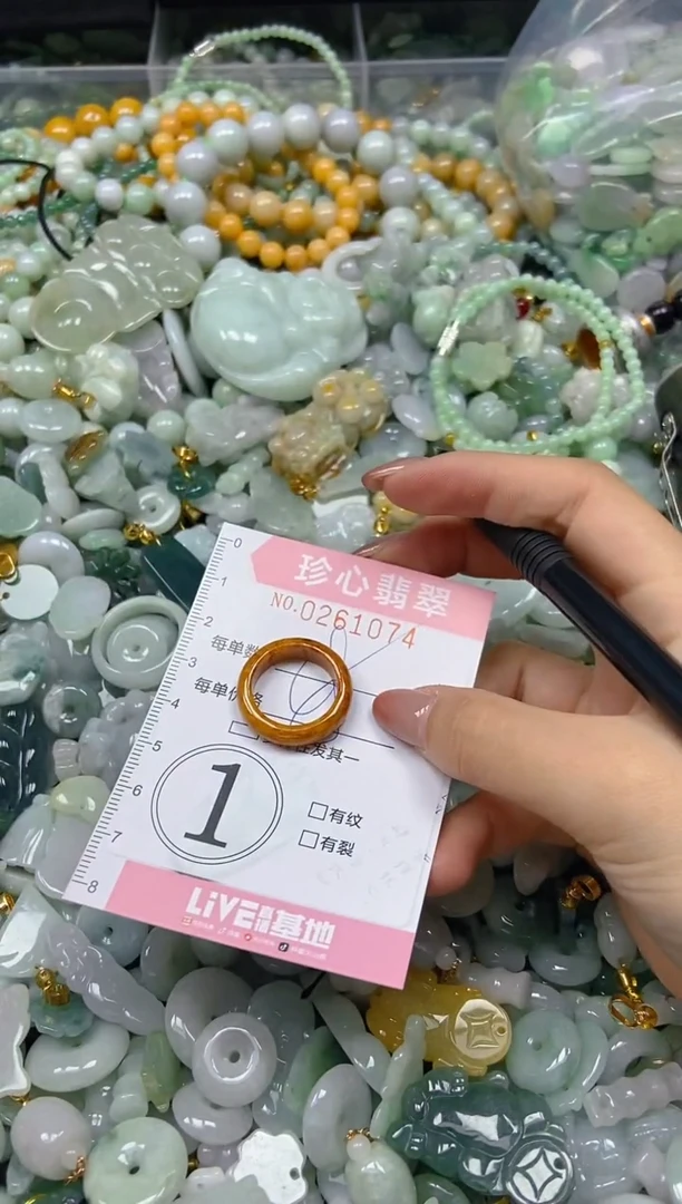 翡翠未镶嵌颈饰闪购0261074