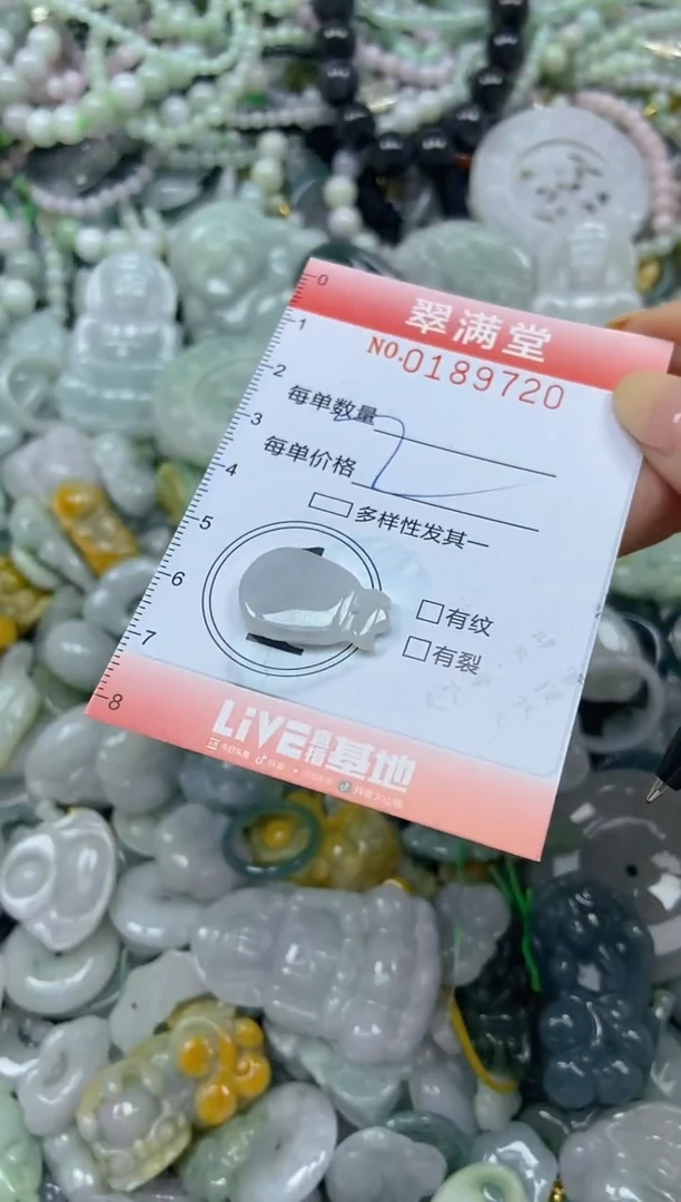 颈饰未镶嵌翡翠闪购0189720