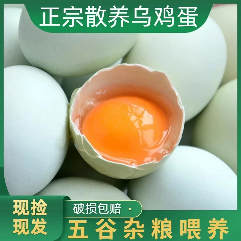 绿壳乌鸡蛋20/30/40枚农家散养新鲜笨鸡蛋 40g/枚